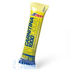 Termogenici