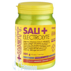 +WATT SALI+ ELECTROLYTE 500 GR